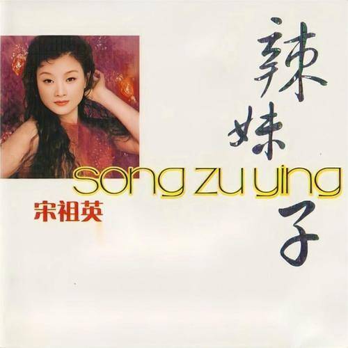 等你来（宋祖英演唱歌曲）
