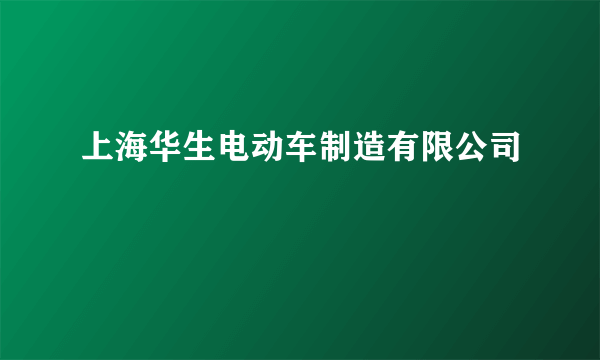 上海华生电动车制造有限公司