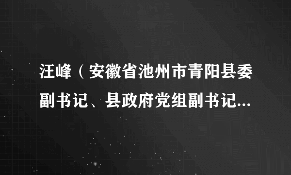 汪峰（安徽省池州市青阳县委副书记、县政府党组副书记、副县长）
