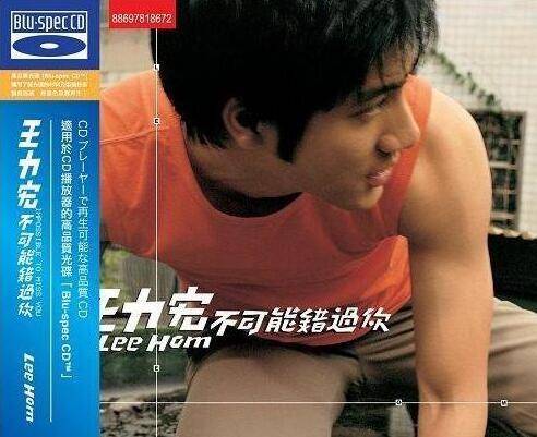 不可能错过你（王力宏演唱歌曲）