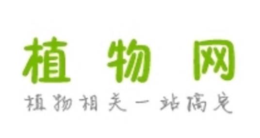 植物网