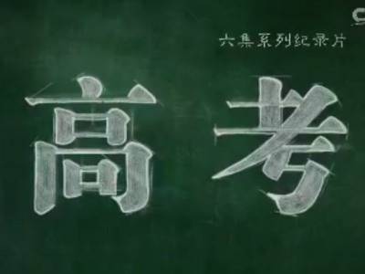 高考（2015年史岩、贾丁执导的纪录片）
