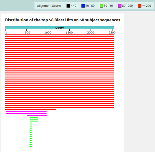 BLAST（生物大分子序列比对搜索工具）