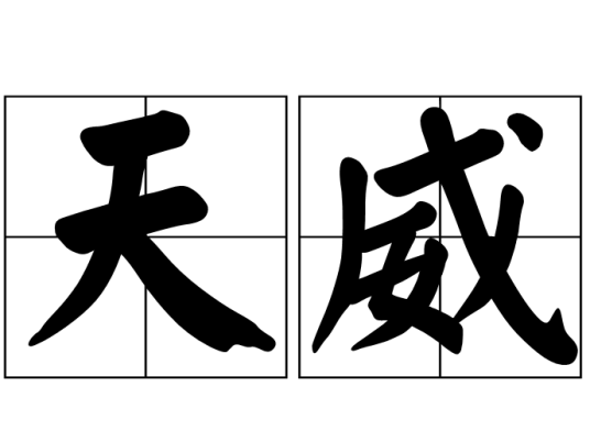 天威（汉语词汇）