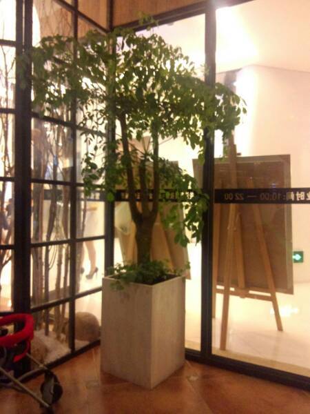 金牛角王中西餐厅（喜盈门范城店）