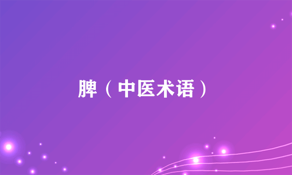 脾（中医术语）