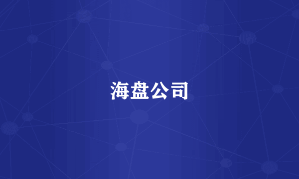 海盘公司