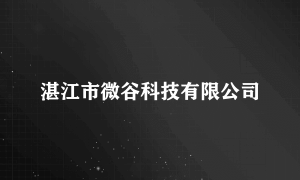 湛江市微谷科技有限公司