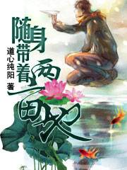 随身带着两亩地（道心纯阳著）