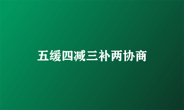 五缓四减三补两协商