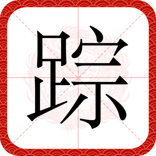 踪（汉语汉字）