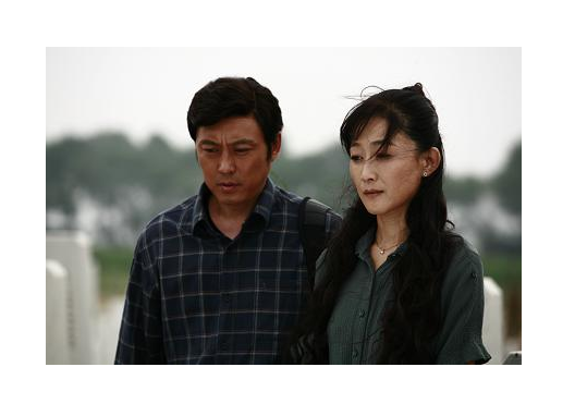 幸福来敲门（2008年陈瑾主演电视剧）