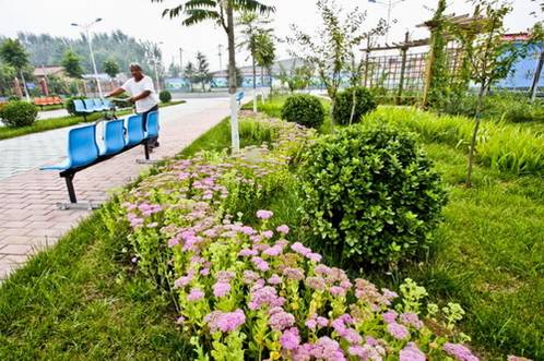 六郎庄（北京市通州区马驹桥镇六郎庄村）