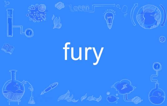 Fury（英语单词）