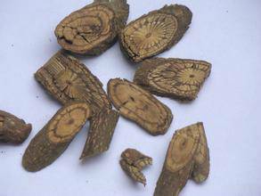 买麻藤（中药）