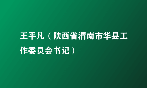 王平凡（陕西省渭南市华县工作委员会书记）
