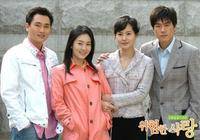 危险的爱情（韩国2005年金亨日执导的电视剧）