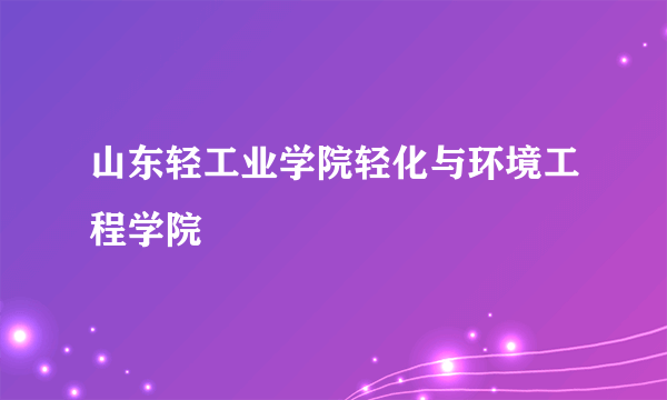 山东轻工业学院轻化与环境工程学院