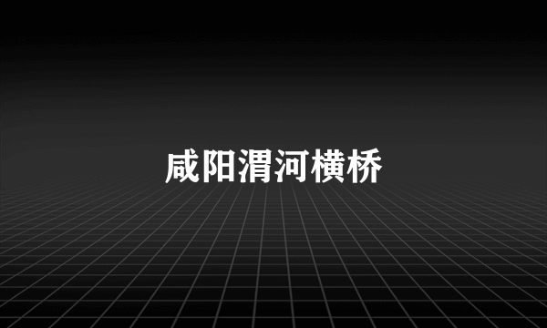 咸阳渭河横桥