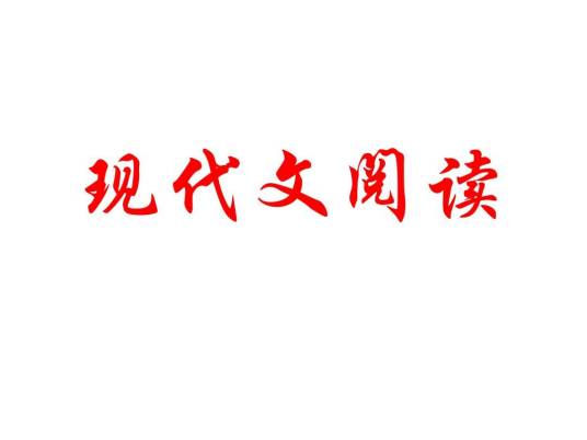 现代文阅读（词语）