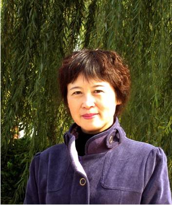 苗炜（中国河南籍艺术家）