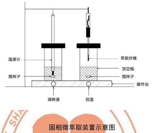固相微萃取（样品预处理技术）