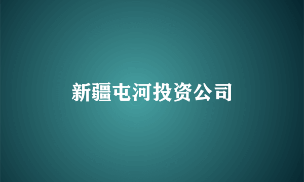新疆屯河投资公司