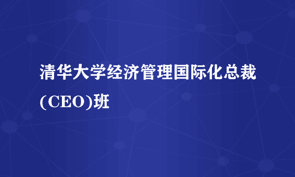 清华大学经济管理国际化总裁(CEO)班