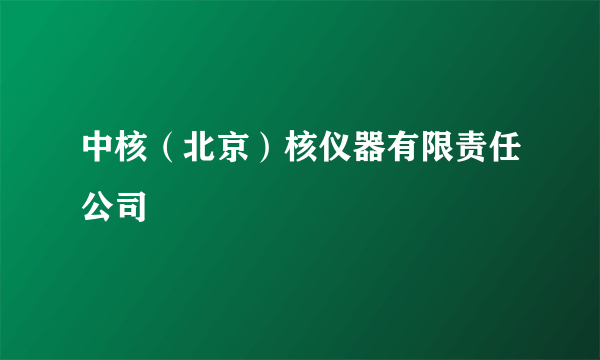 中核（北京）核仪器有限责任公司