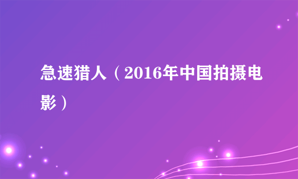 急速猎人（2016年中国拍摄电影）