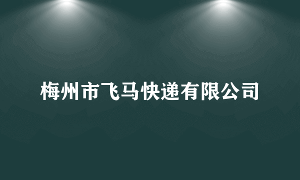 梅州市飞马快递有限公司