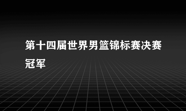 第十四届世界男篮锦标赛决赛冠军