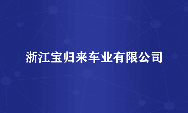 浙江宝归来车业有限公司