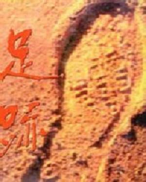 足迹（词语释义）