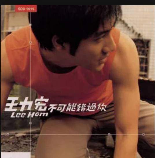 失去了你（王力宏演唱的歌曲）