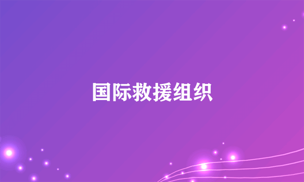 国际救援组织
