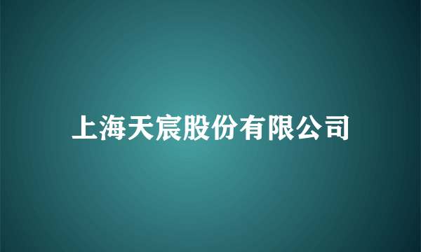 上海天宸股份有限公司