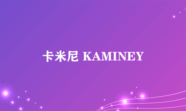 卡米尼 KAMINEY