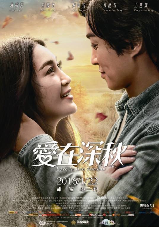 爱在深秋（2016年温碧霞主演电影）