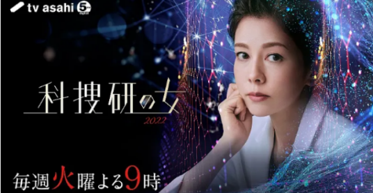科搜研之女2022