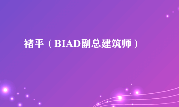 褚平（BIAD副总建筑师）
