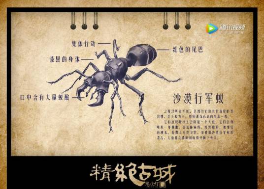 沙漠行军蚁（《鬼吹灯》中的怪物）