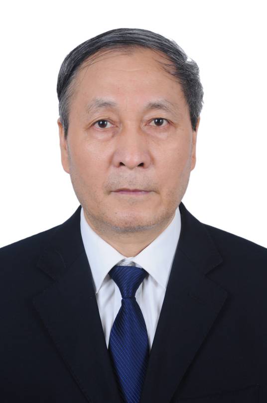 张亮亮（重庆大学土木工程学院教授）