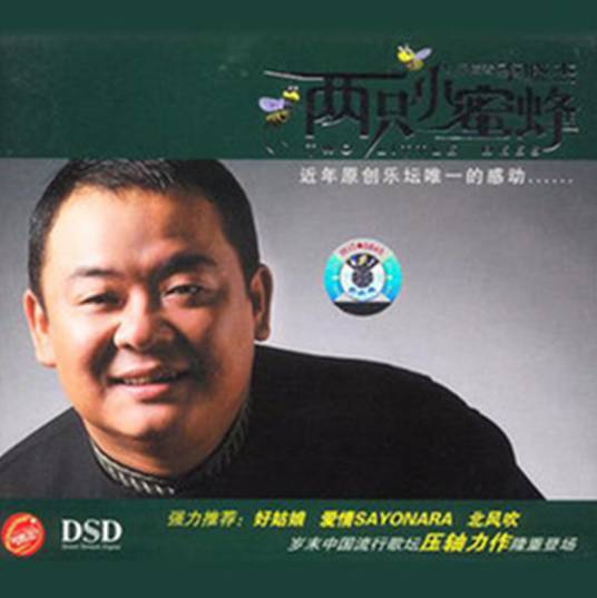 好姑娘（李晓杰演唱歌曲）