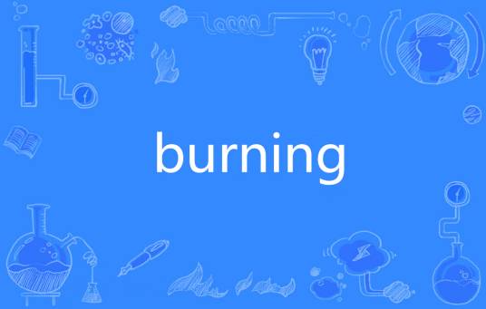 burning（英文单词）