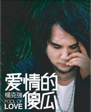 爱情的傻瓜（杨克强演唱歌曲）