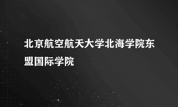 北京航空航天大学北海学院东盟国际学院