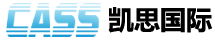 凯思国际