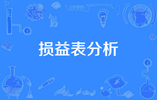 损益表分析