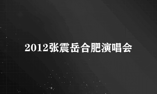 2012张震岳合肥演唱会